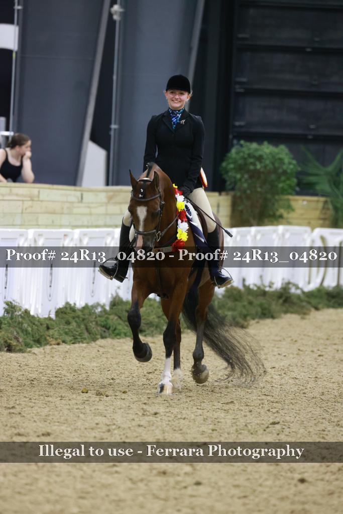Proof Number 24R13_04820