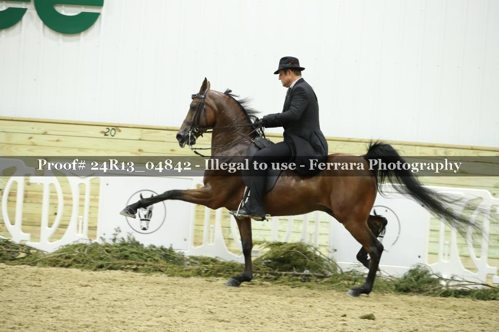 Proof Number 24R13_04842