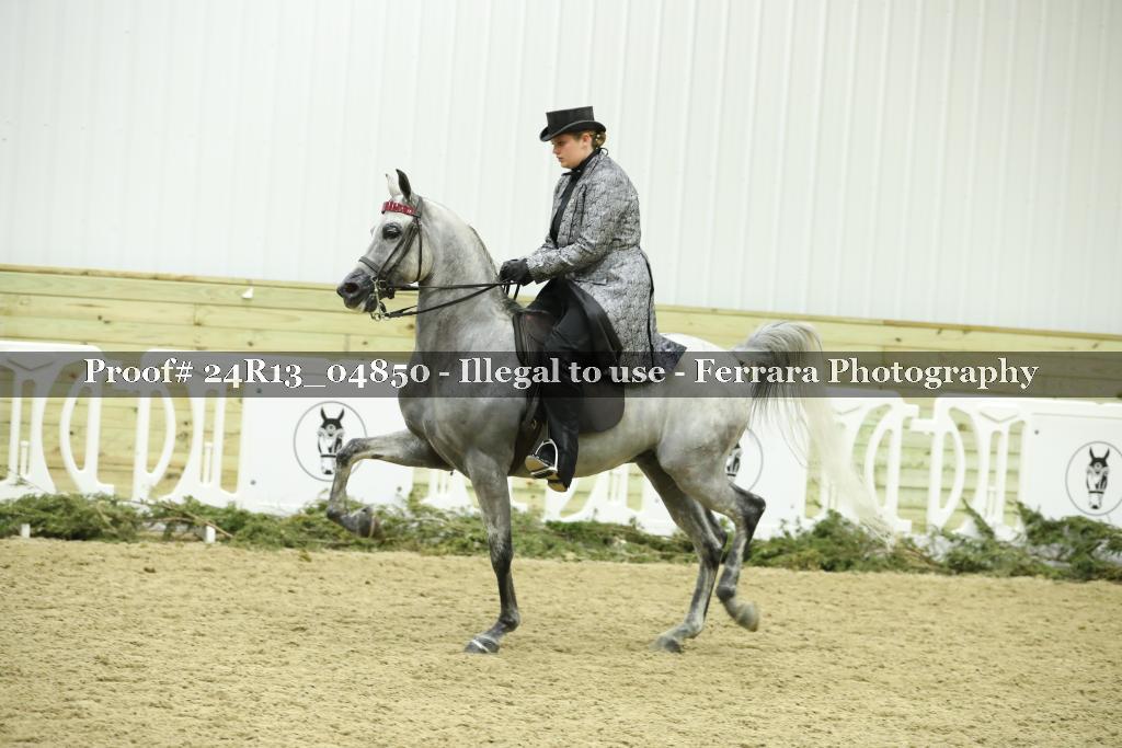 Proof Number 24R13_04850