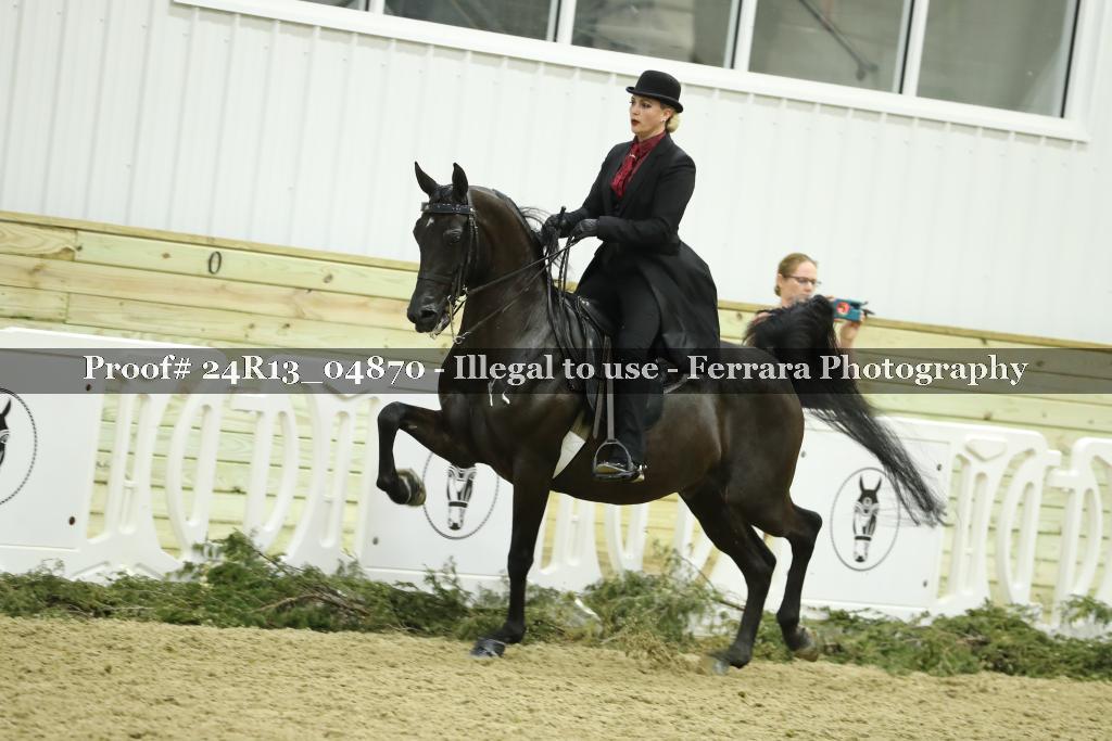 Proof Number 24R13_04870
