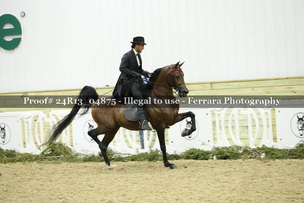 Proof Number 24R13_04875