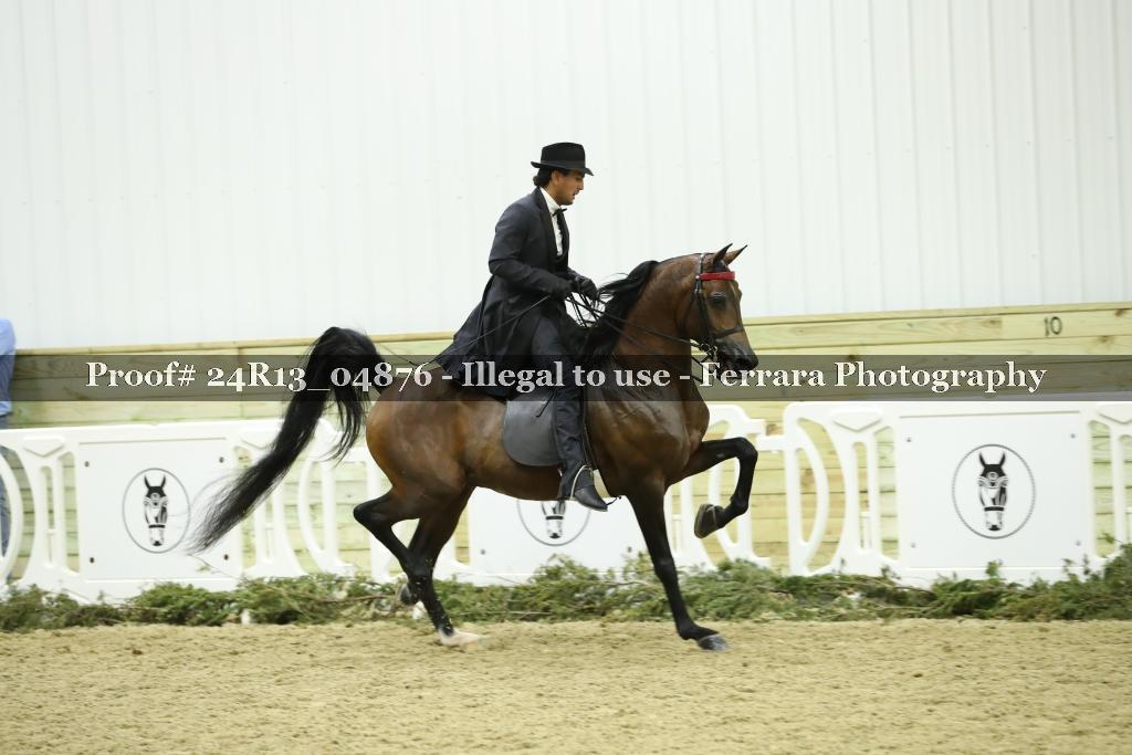 Proof Number 24R13_04876