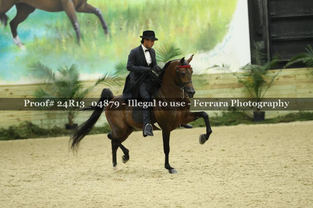 Proof Number 24R13_04879