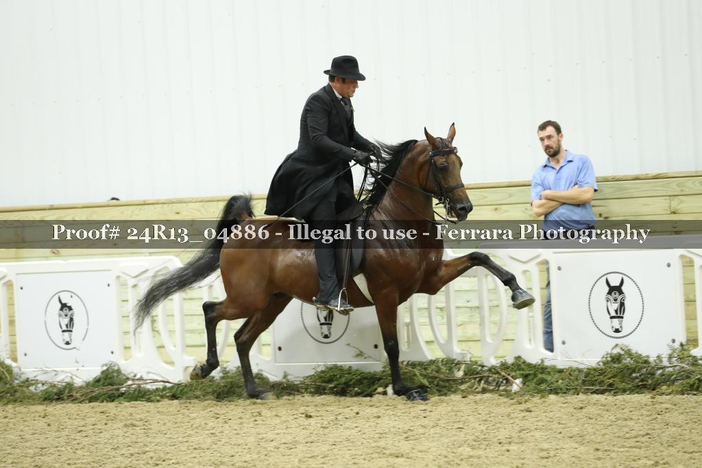 Proof Number 24R13_04886