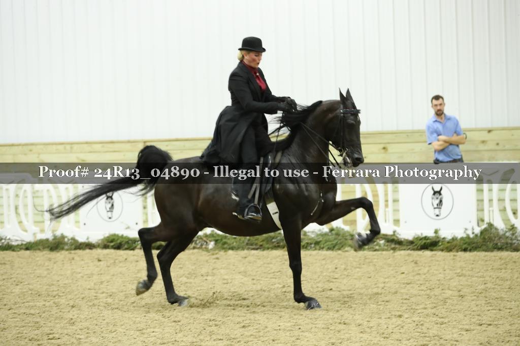 Proof Number 24R13_04890