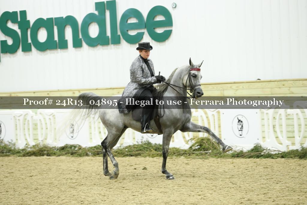 Proof Number 24R13_04895