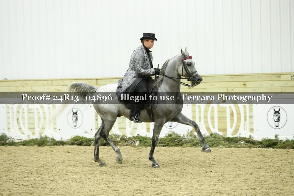 Proof Number 24R13_04896