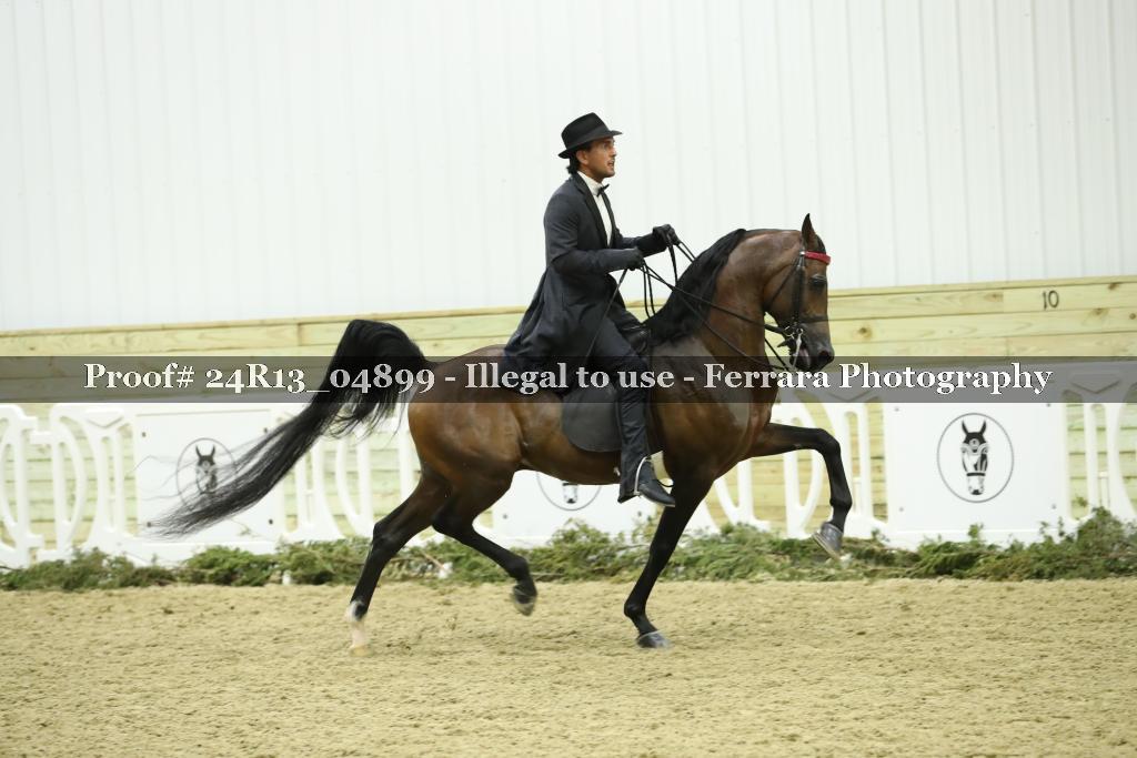 Proof Number 24R13_04899