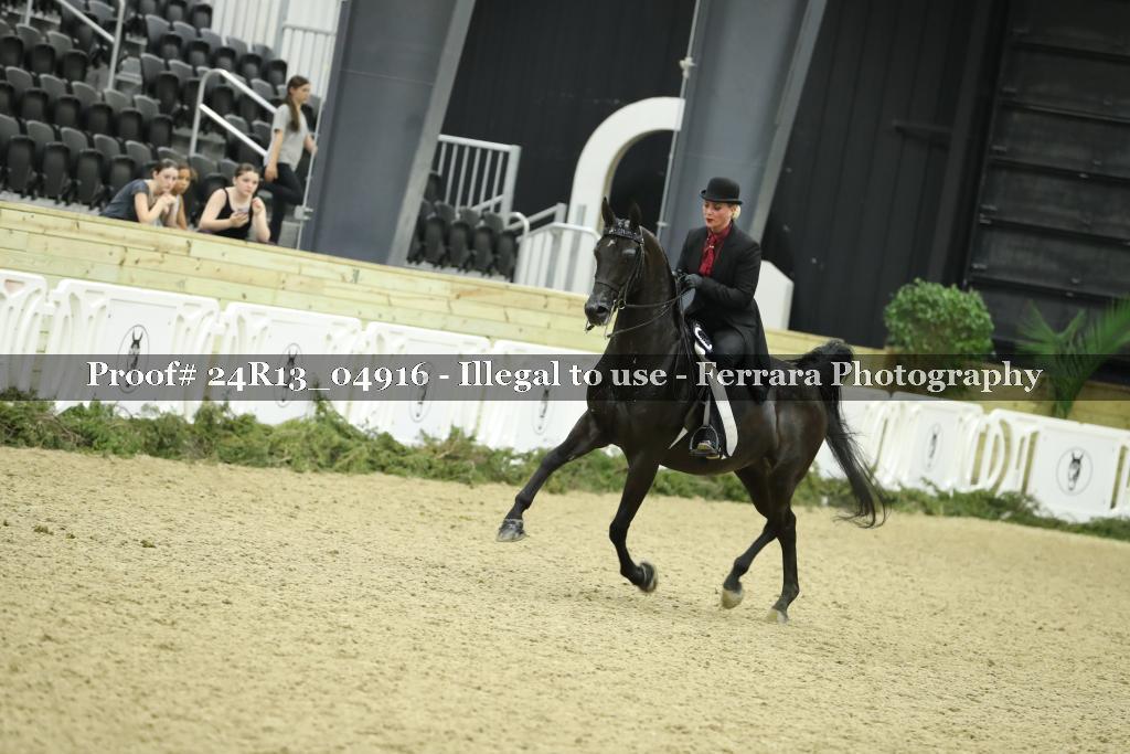 Proof Number 24R13_04916
