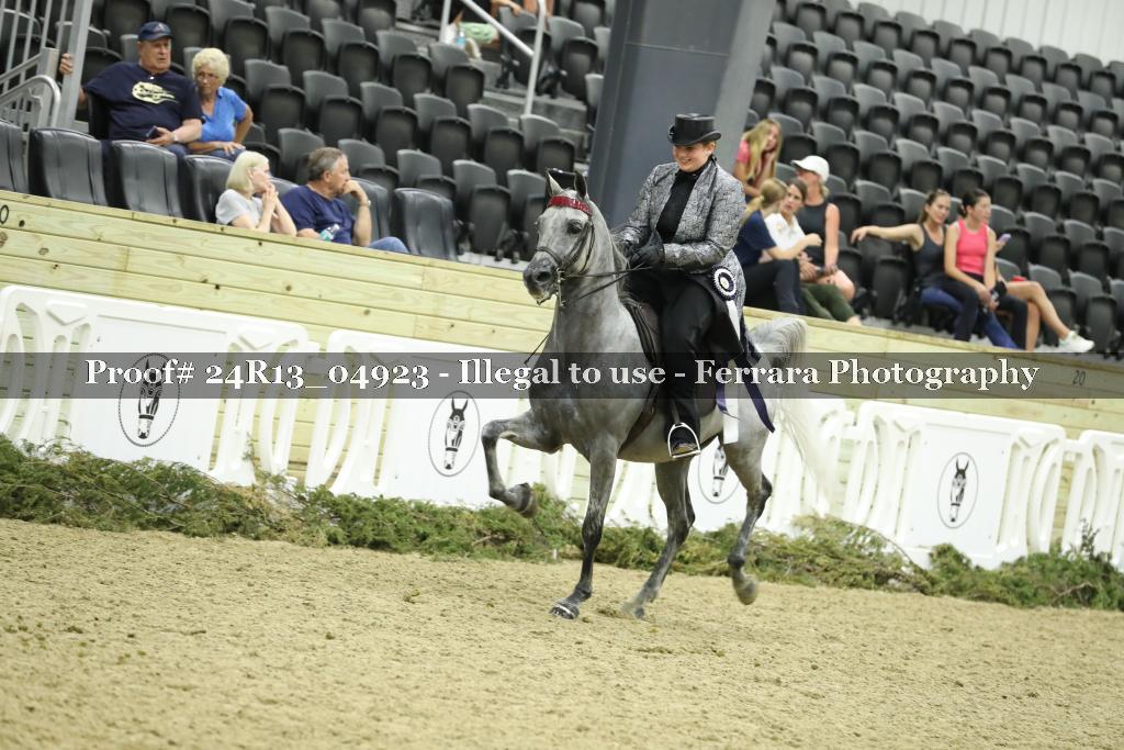 Proof Number 24R13_04923