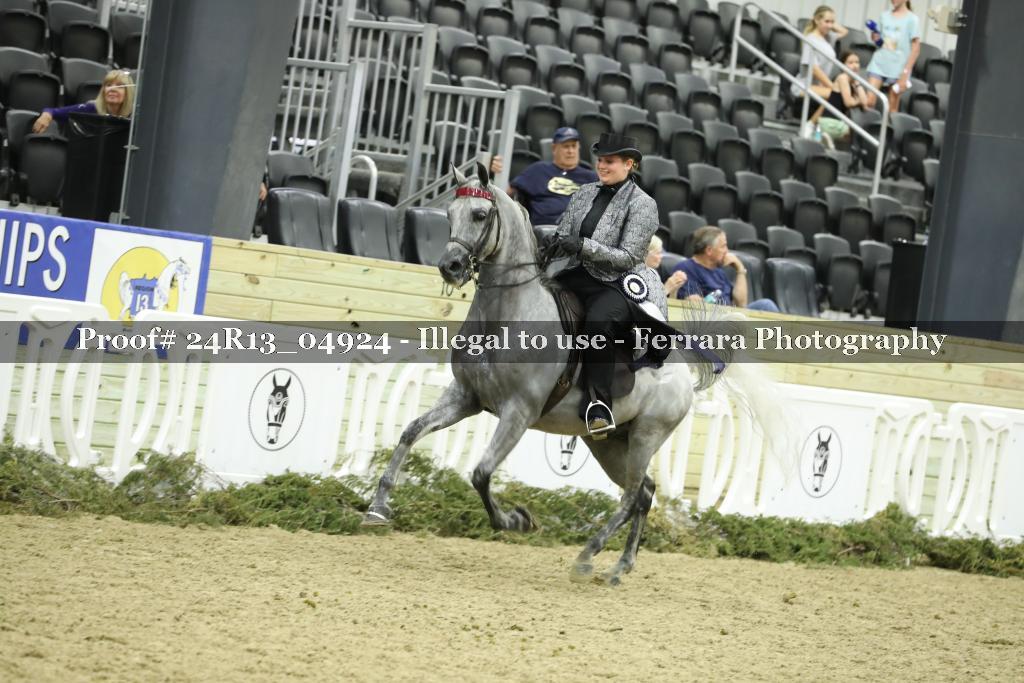 Proof Number 24R13_04924