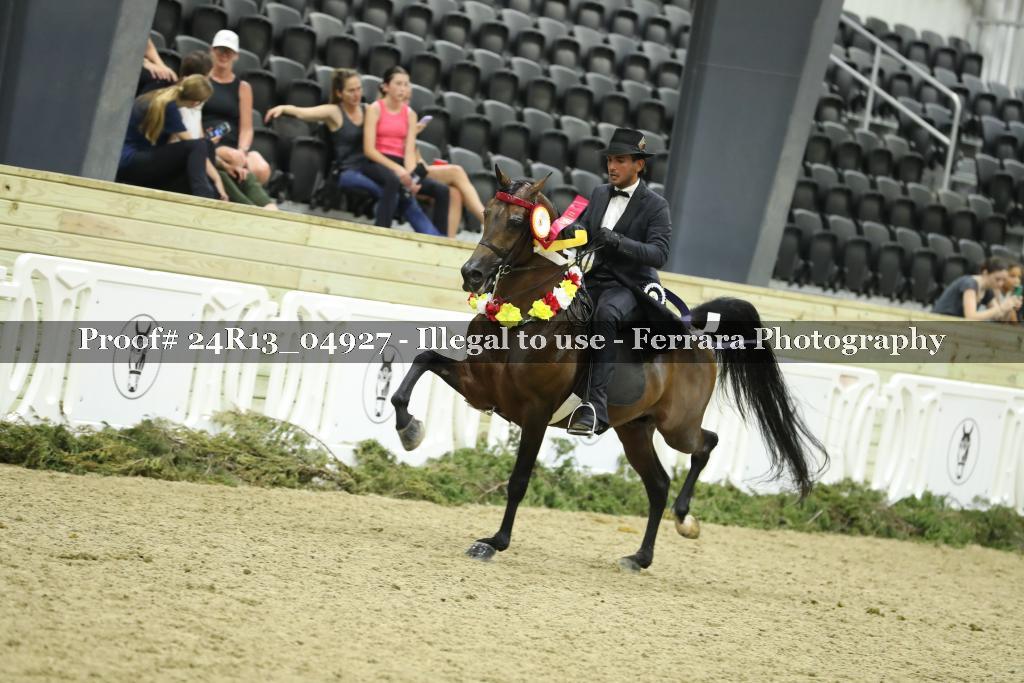 Proof Number 24R13_04927