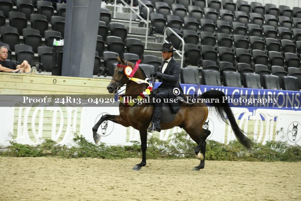 Proof Number 24R13_04929