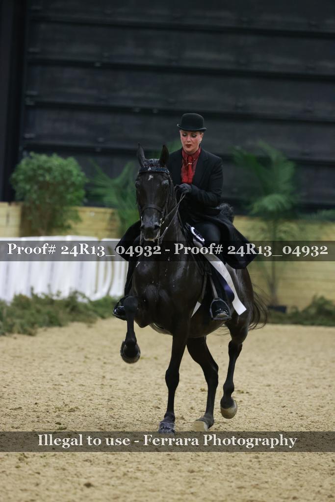 Proof Number 24R13_04932