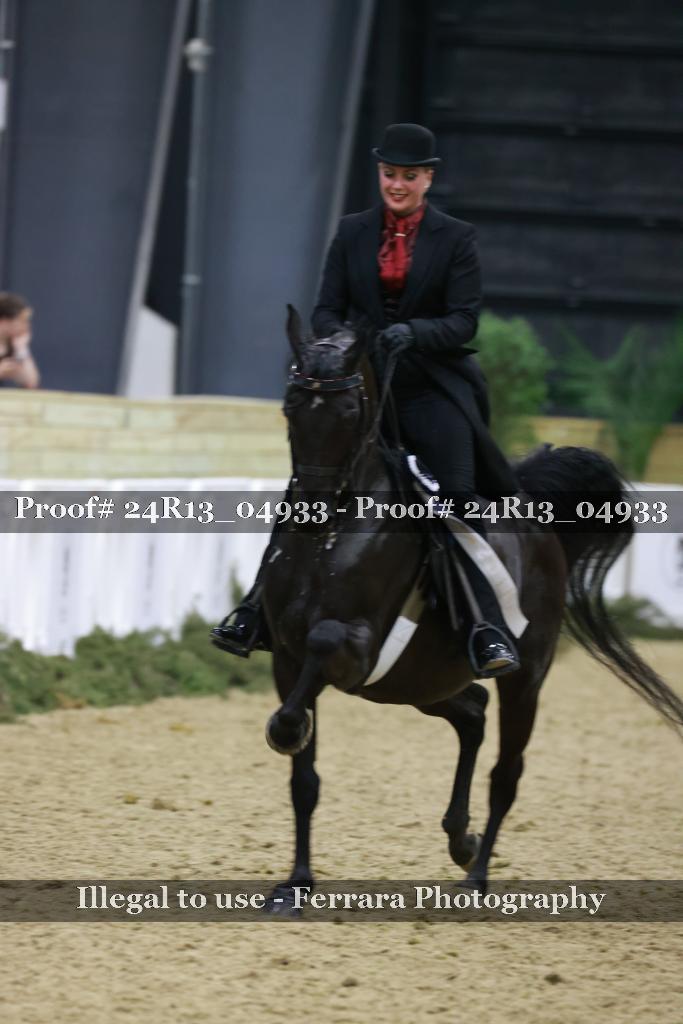 Proof Number 24R13_04933