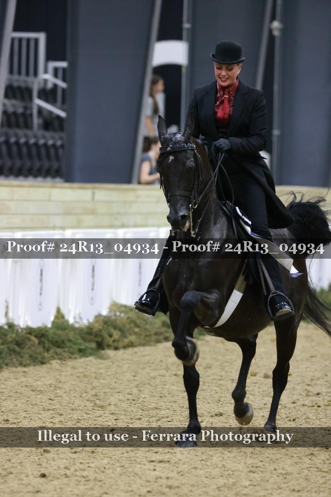 Proof Number 24R13_04934