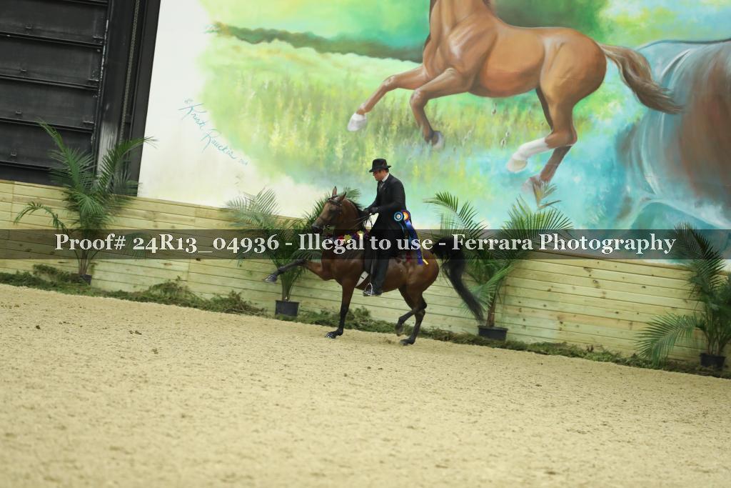 Proof Number 24R13_04936