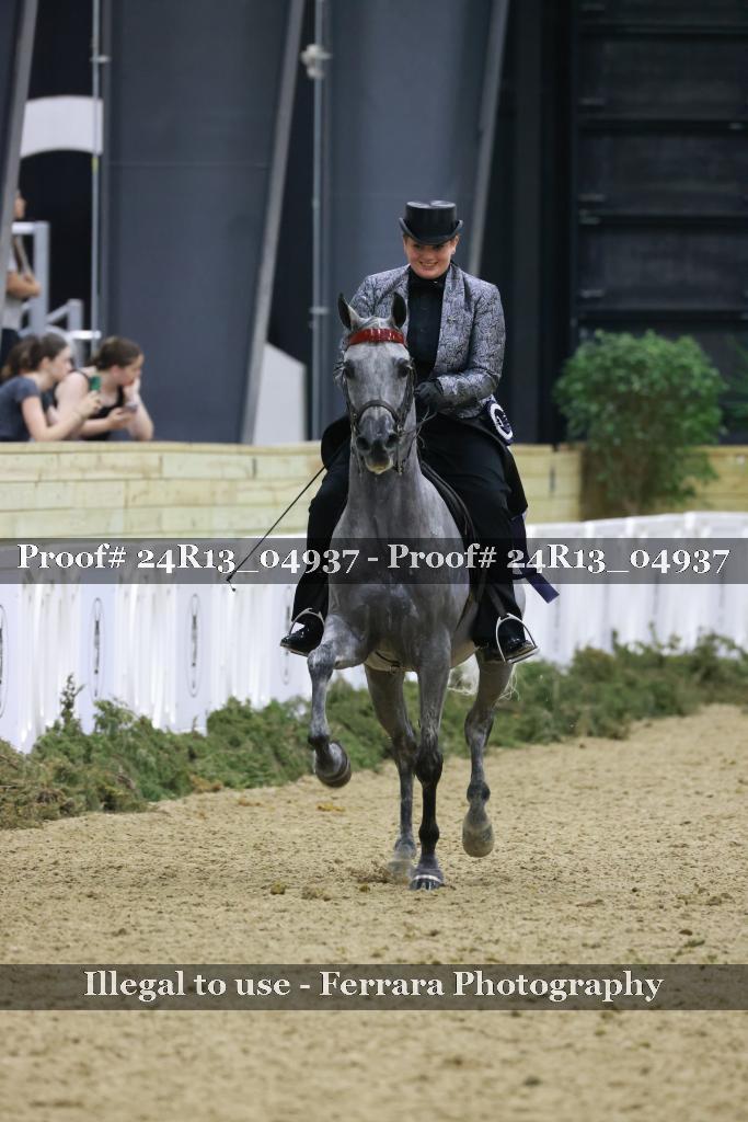 Proof Number 24R13_04937