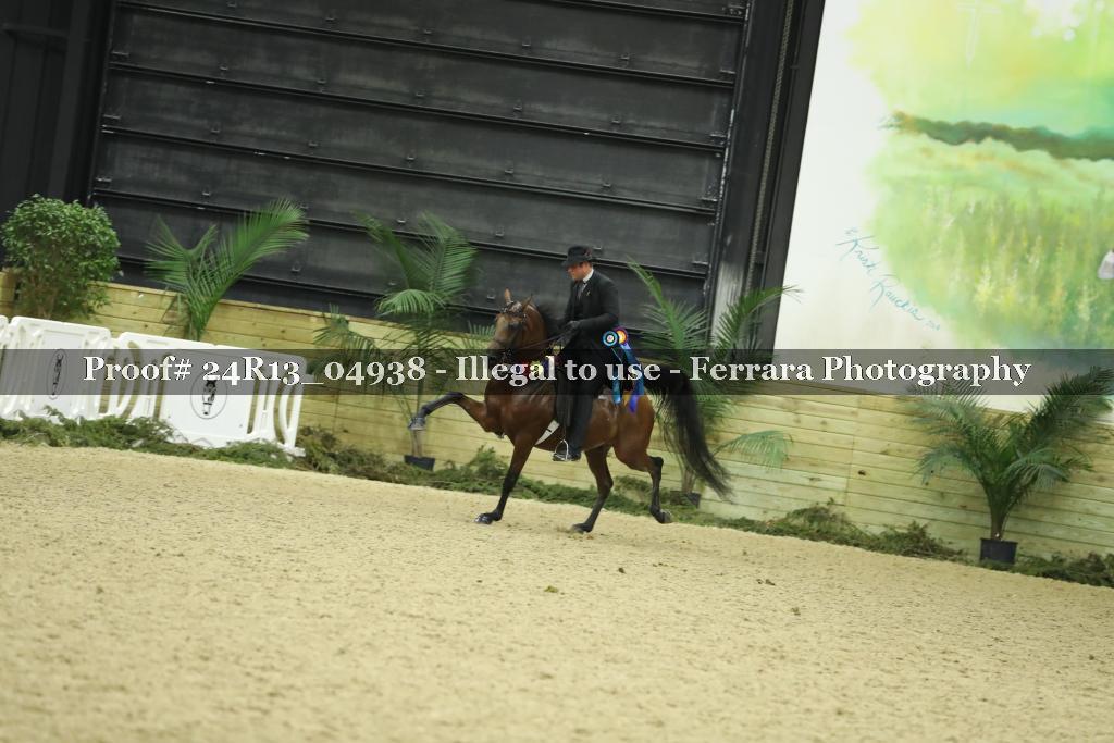 Proof Number 24R13_04938