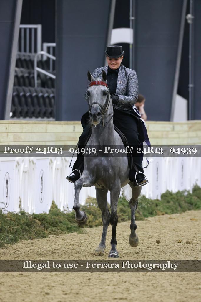Proof Number 24R13_04939