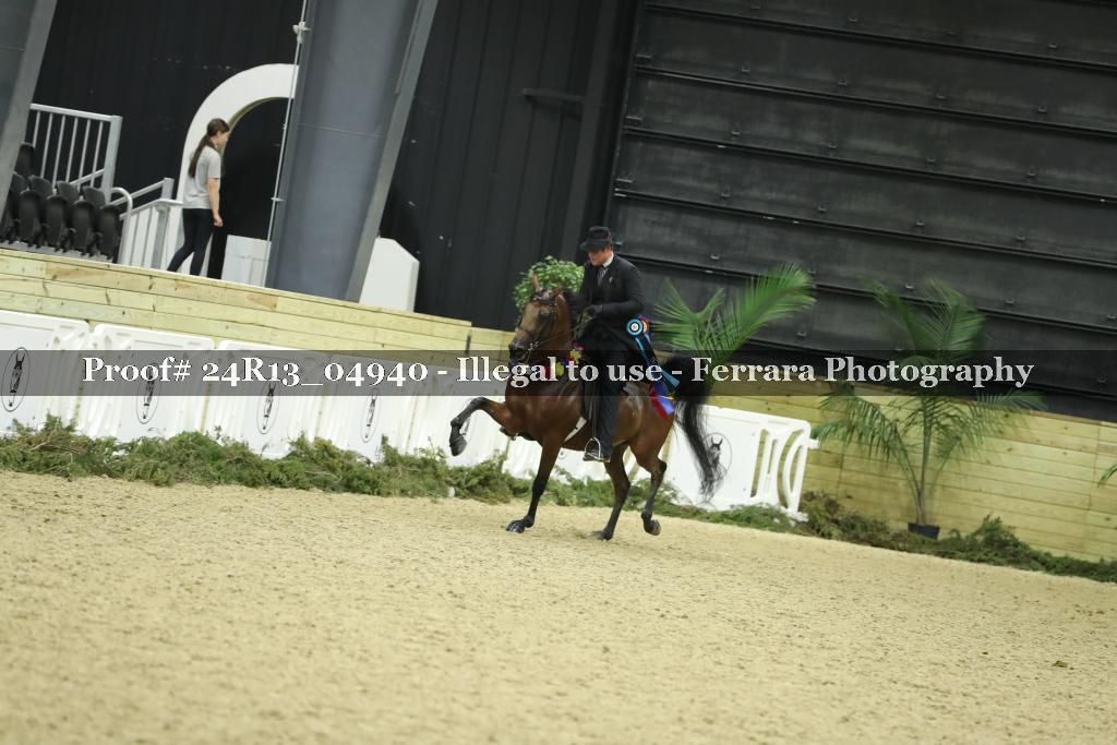 Proof Number 24R13_04940