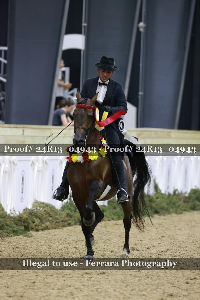 Proof Number 24R13_04943