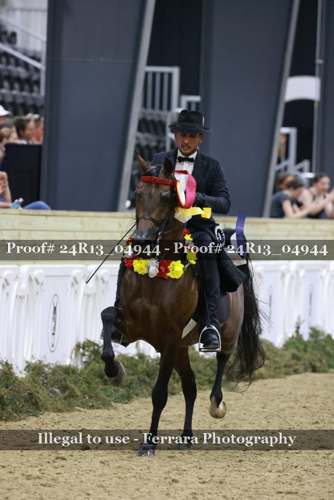 Proof Number 24R13_04944