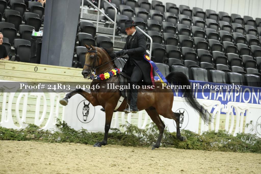 Proof Number 24R13_04946