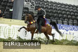 24R13_04946 thumbnail