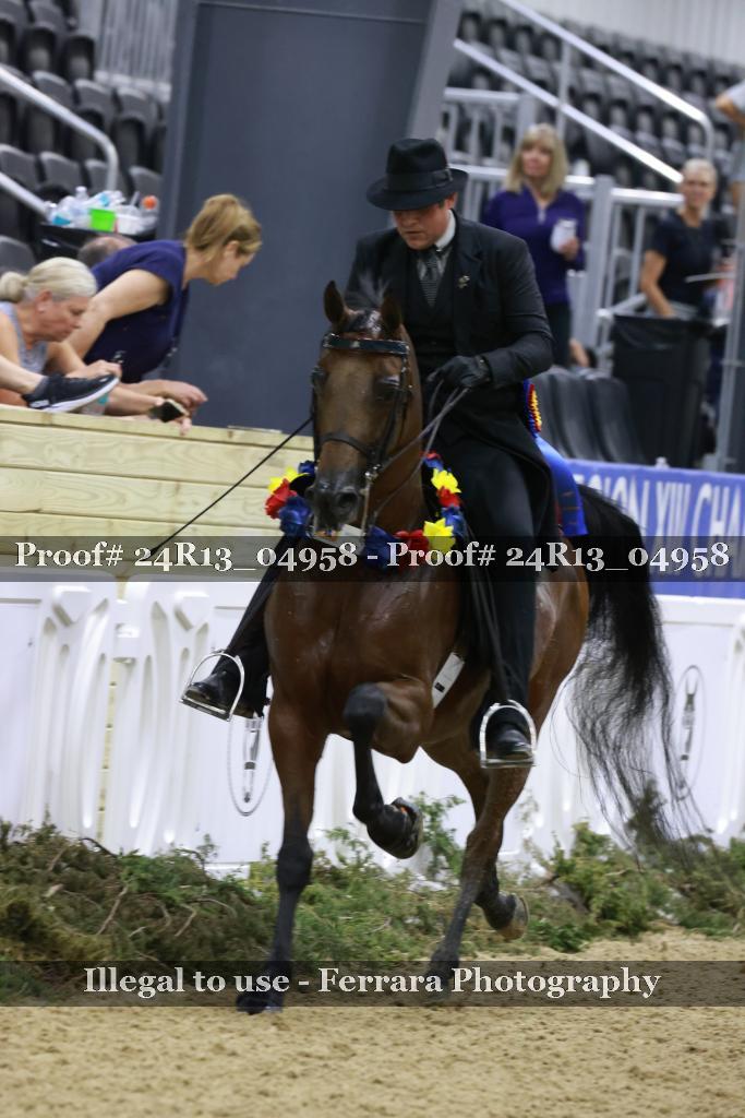Proof Number 24R13_04958
