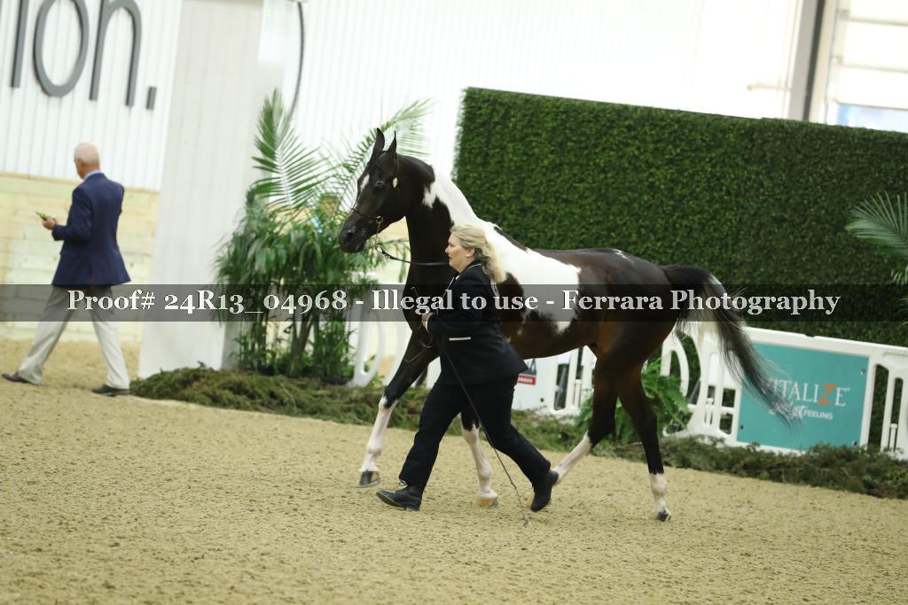Proof Number 24R13_04968