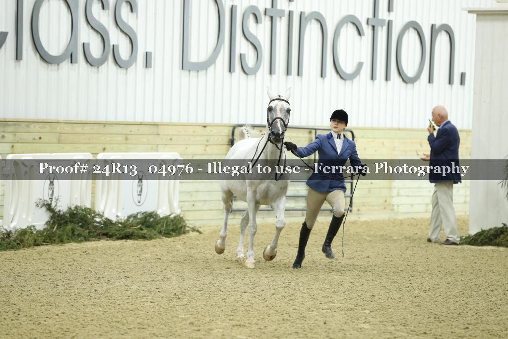 Proof Number 24R13_04976