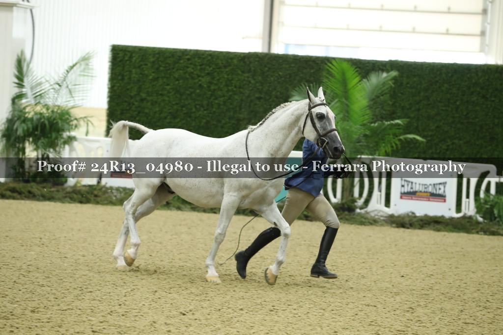 Proof Number 24R13_04980