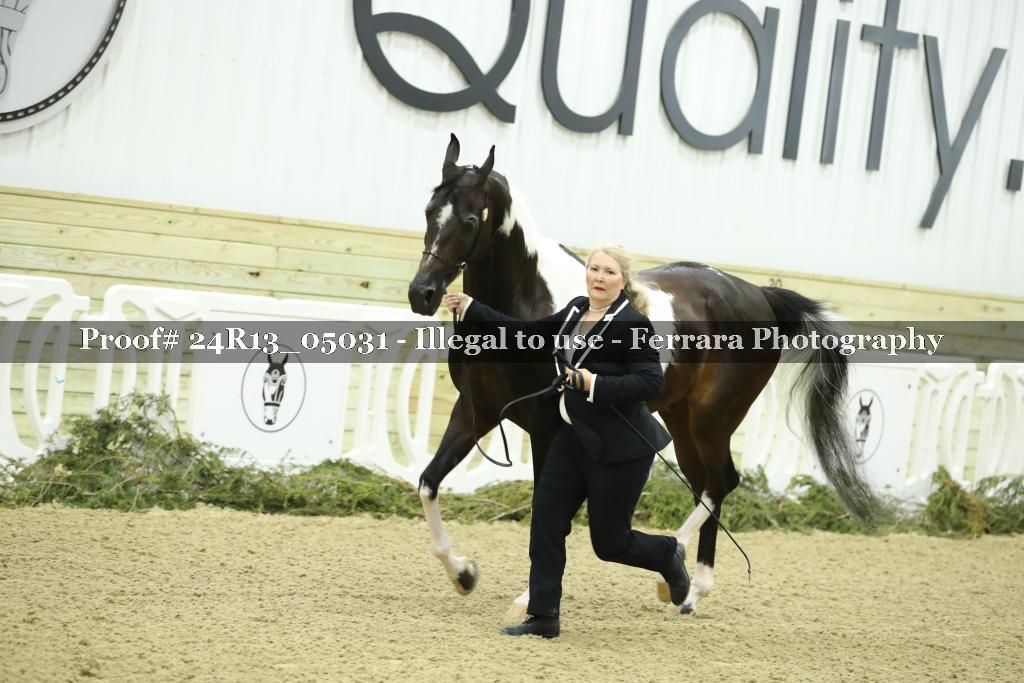 Proof Number 24R13_05031