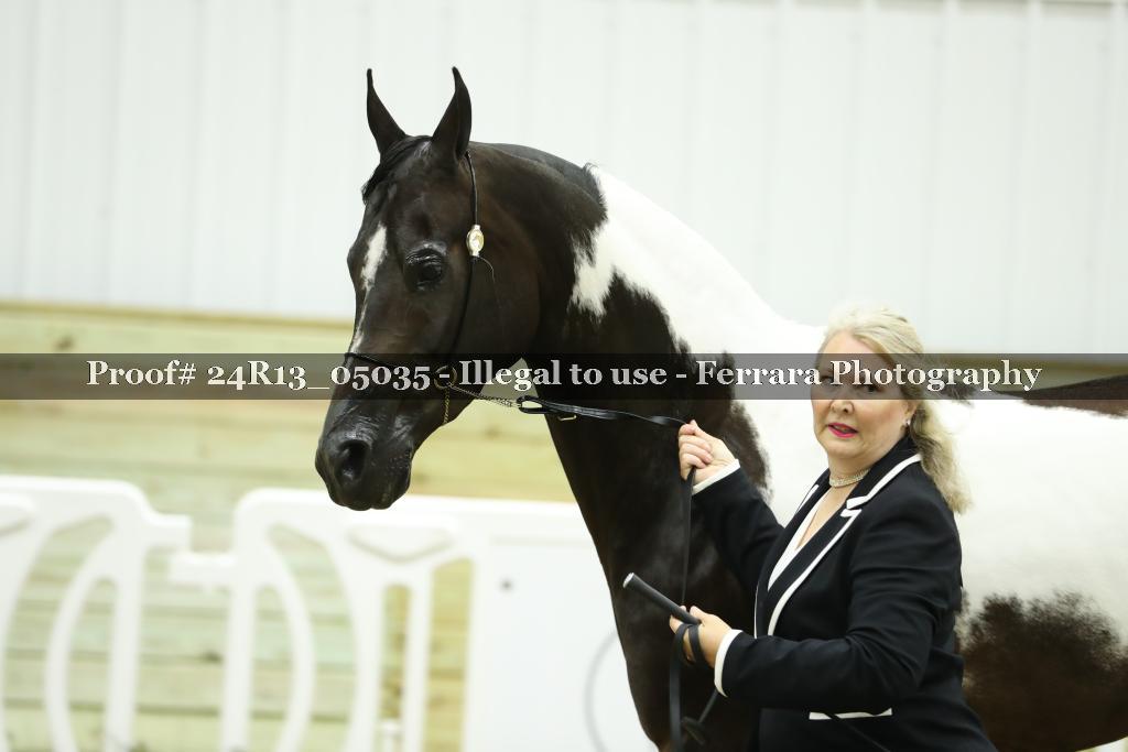 Proof Number 24R13_05035