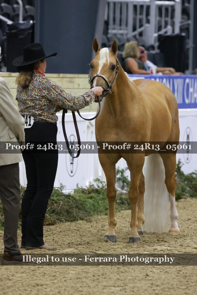 Proof Number 24R13_05061