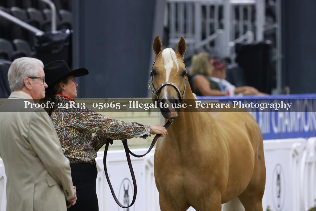 Proof Number 24R13_05065