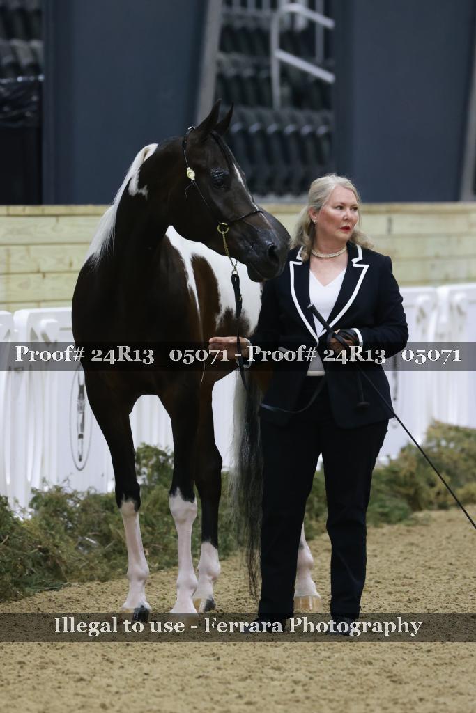Proof Number 24R13_05071