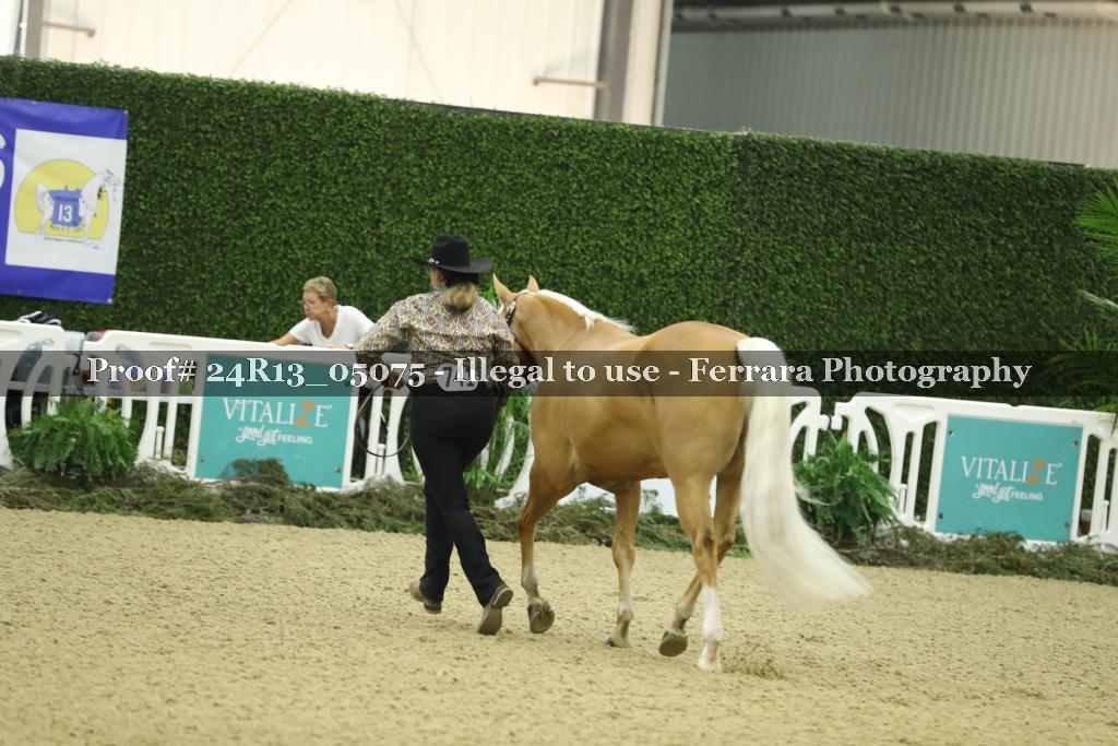 Proof Number 24R13_05075