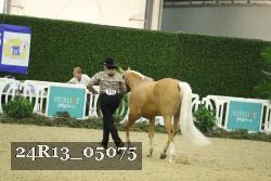 24R13_05075 thumbnail