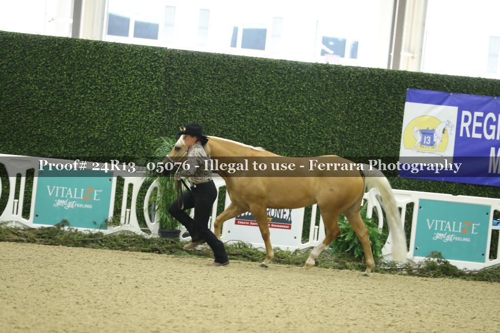 Proof Number 24R13_05076