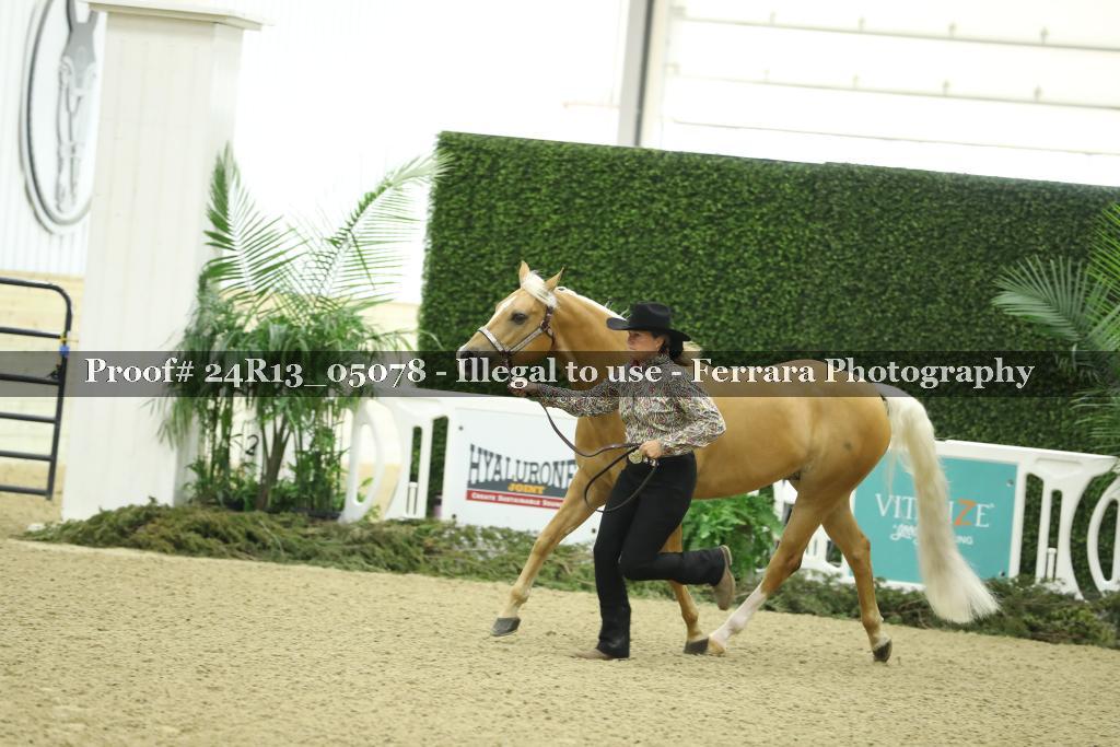 Proof Number 24R13_05078