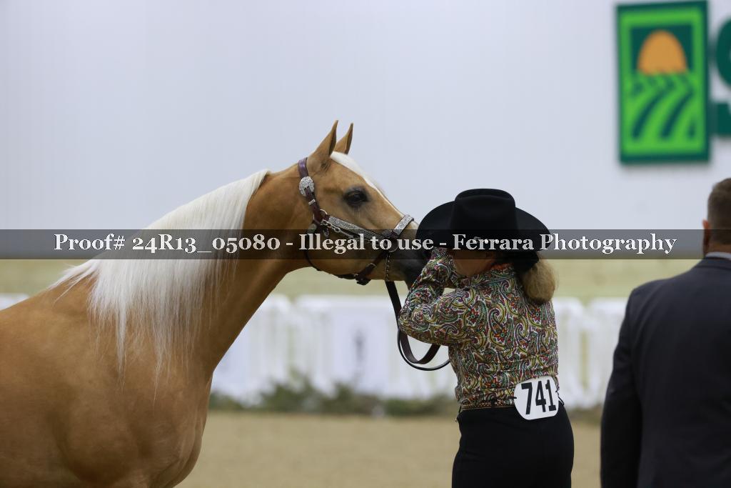 Proof Number 24R13_05080