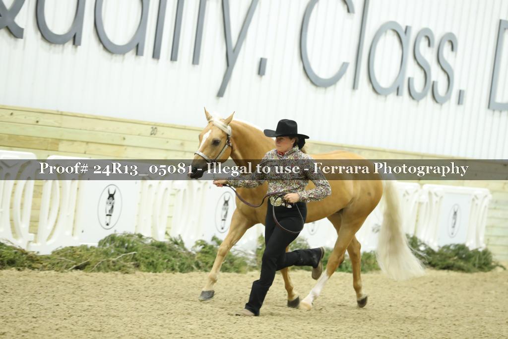 Proof Number 24R13_05081