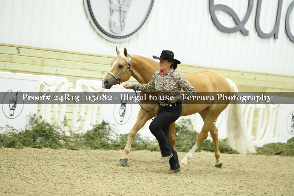 Proof Number 24R13_05082