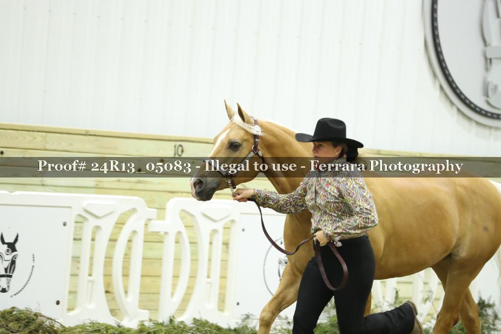 Proof Number 24R13_05083