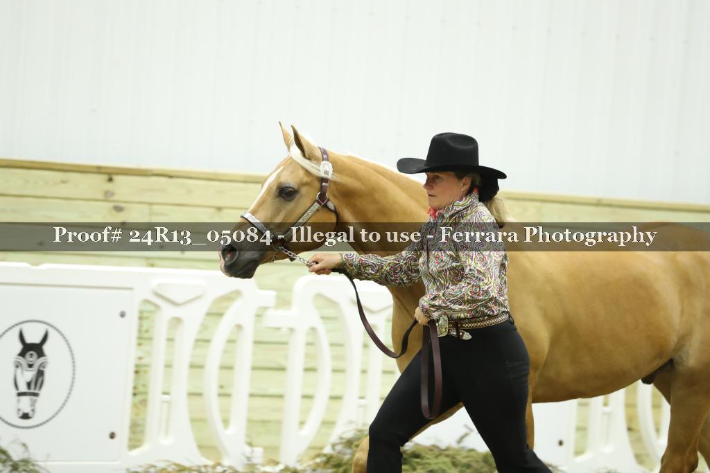 Proof Number 24R13_05084