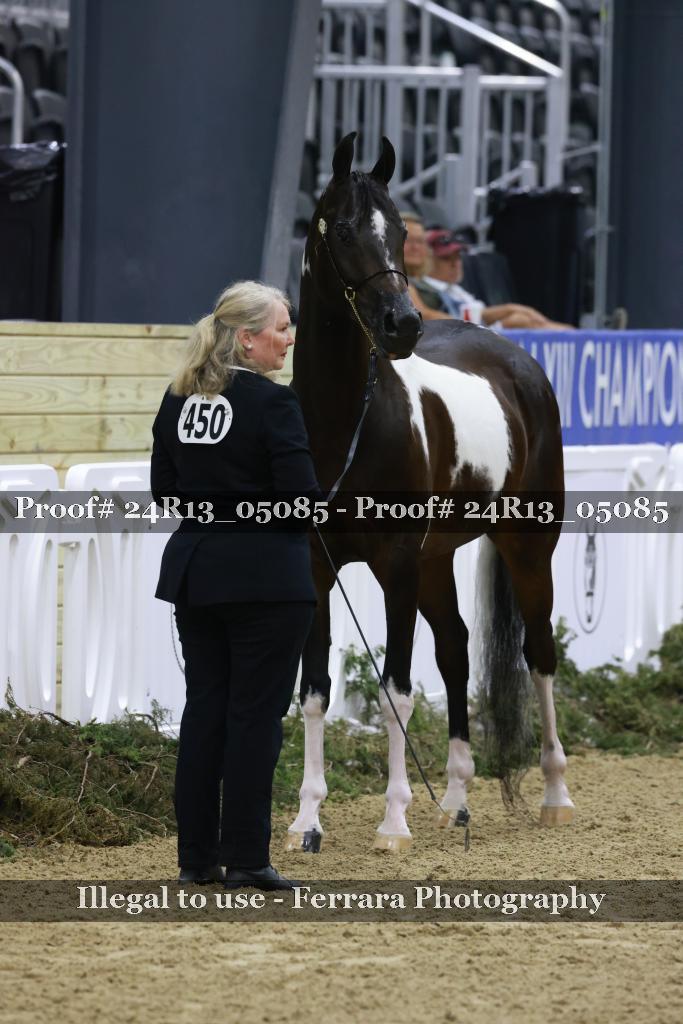 Proof Number 24R13_05085