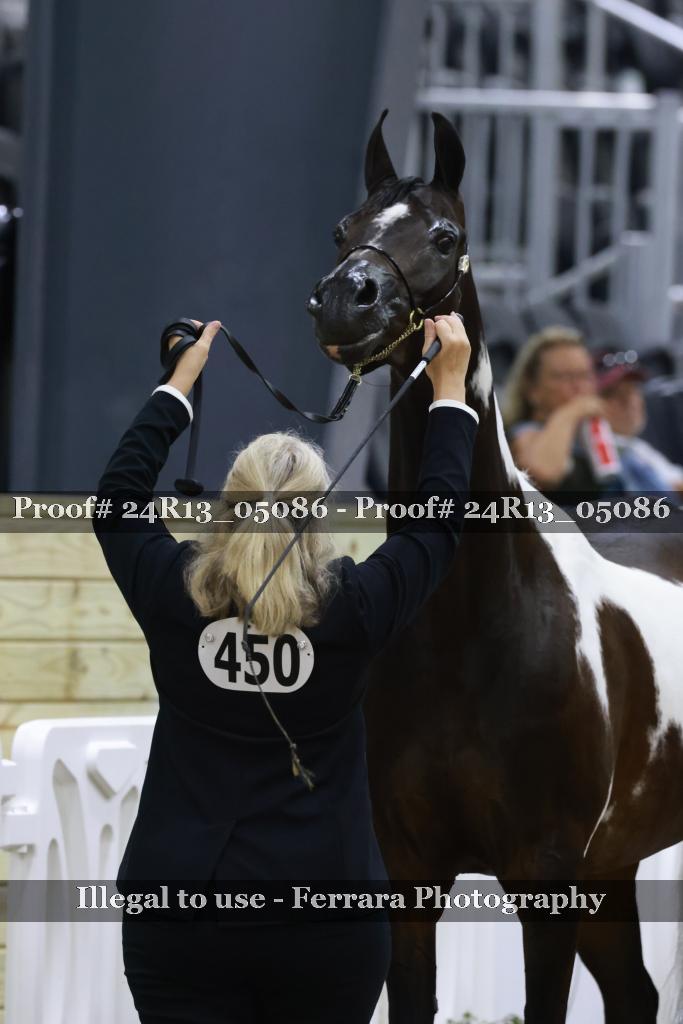 Proof Number 24R13_05086