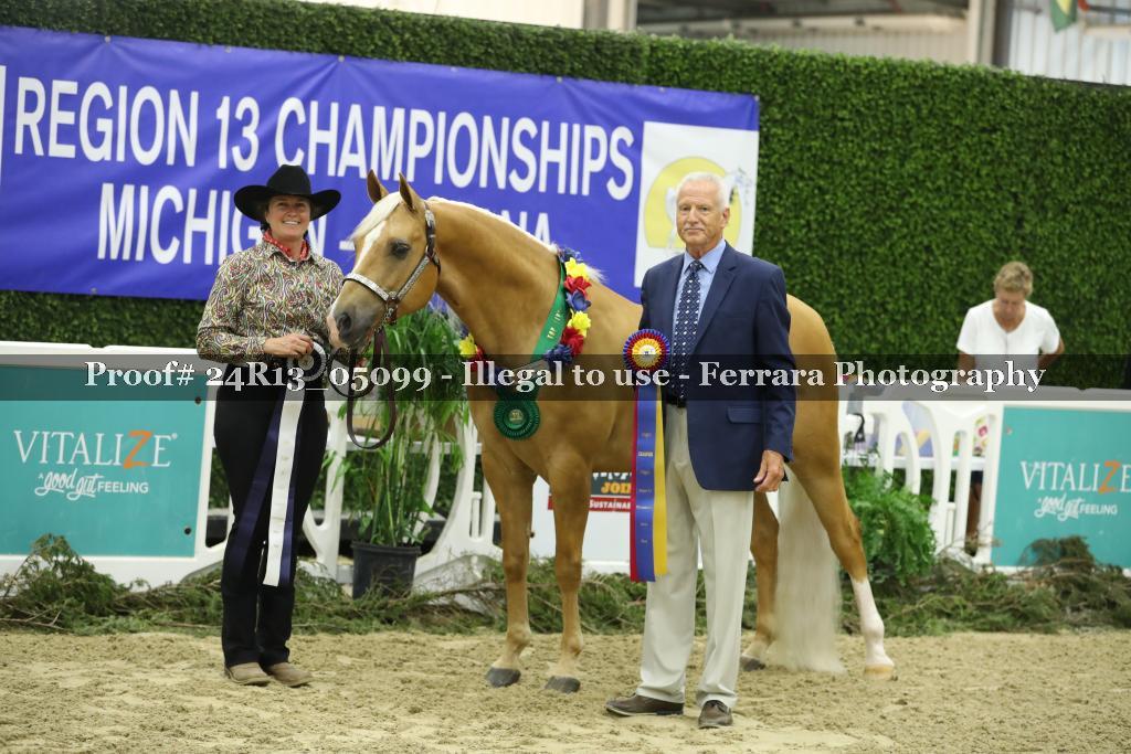 Proof Number 24R13_05099